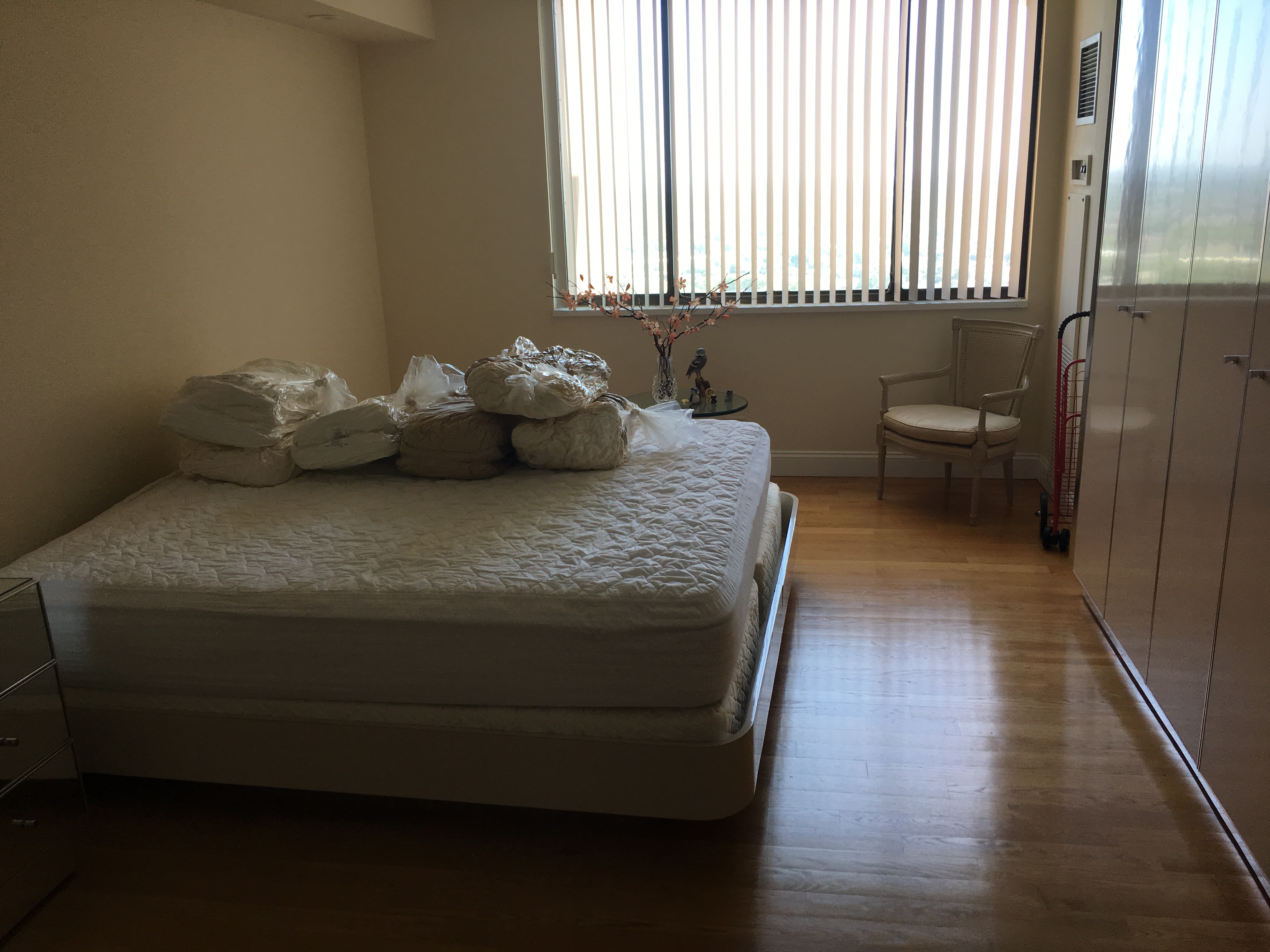 stripped mattress Bed Bug Preparation