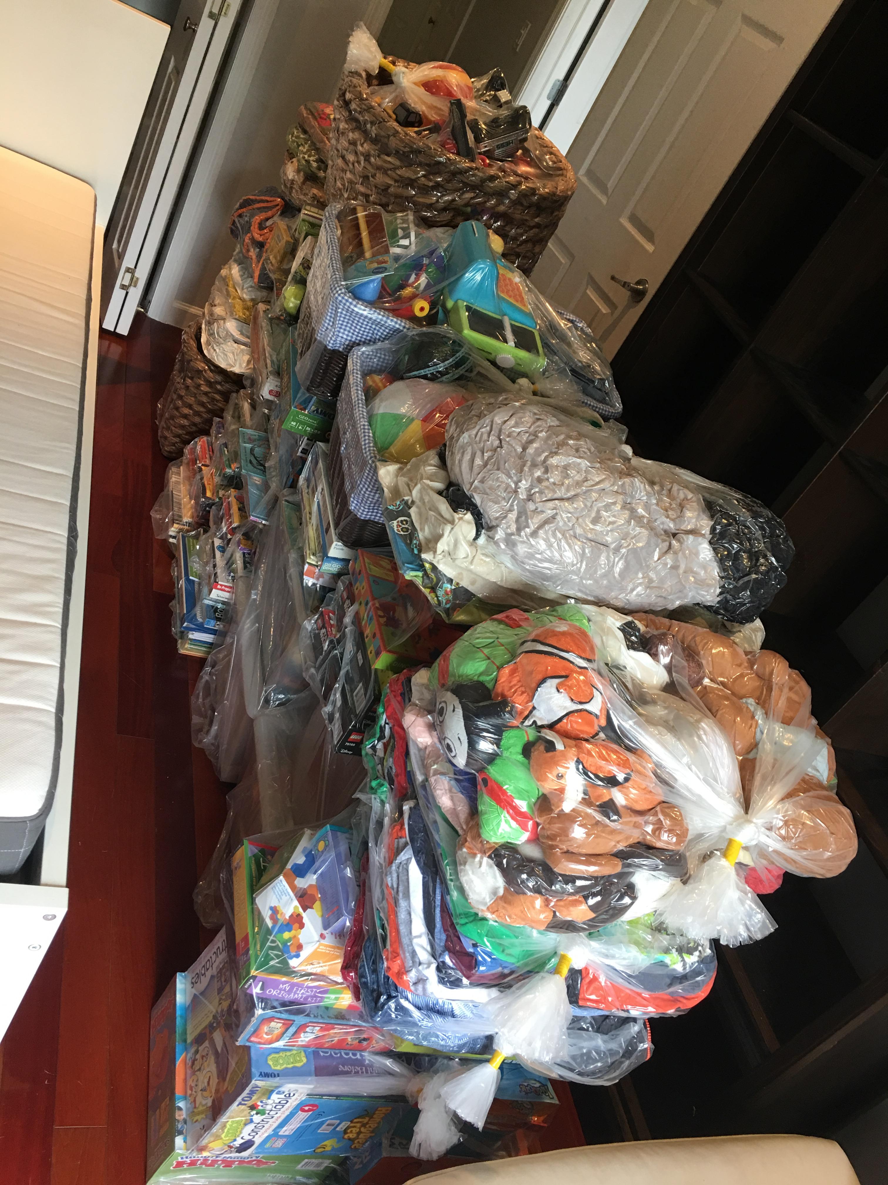 Bed Bug Preparation children's toys and stuffed animals