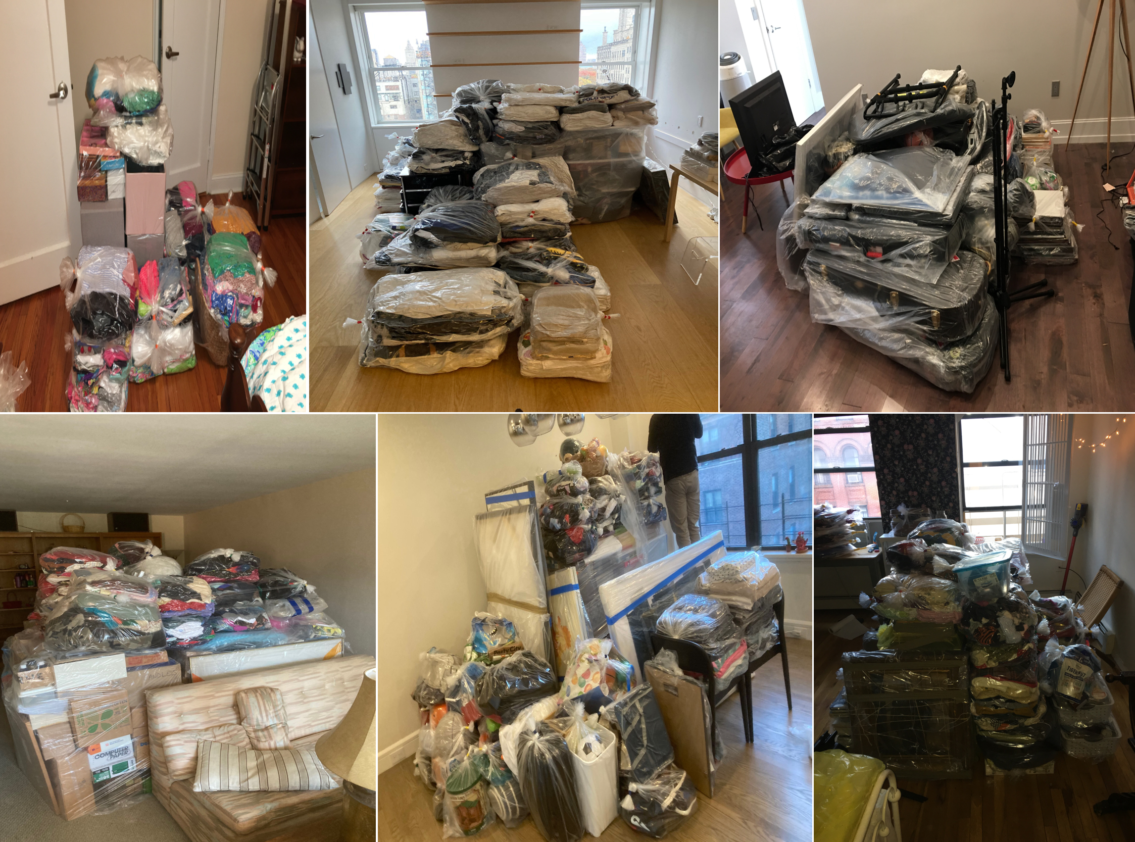 Finished bed bug preps