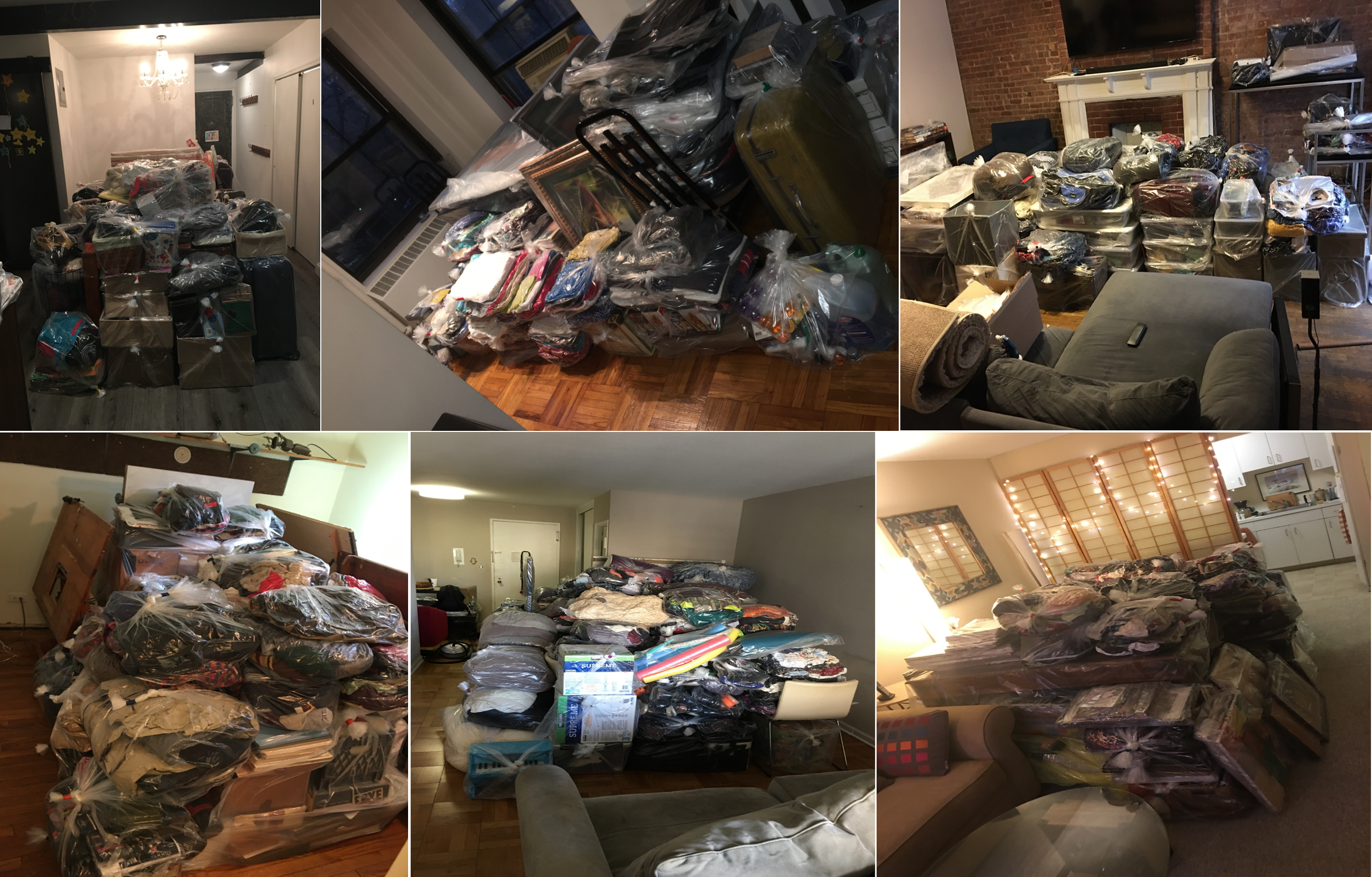 Finished bed bug Prep examples